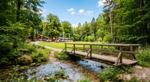Symbolbild: Eine Brücke über einen Bach führt zu einer Lichtung im Wald. Im Hintergrund sieht man feiernde Menschen.