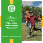Plätze frei im Online-Seminar "Kindeswohl
